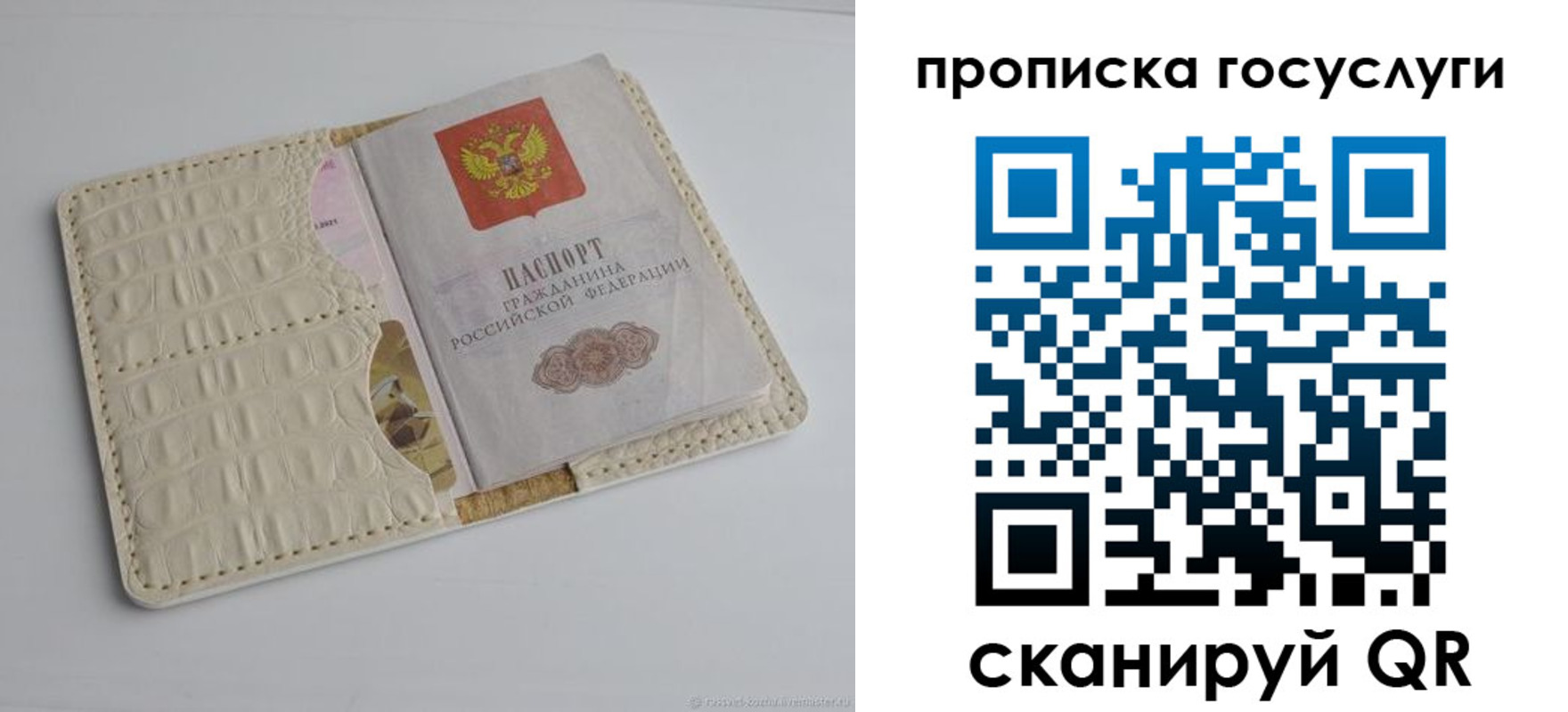 прописка в Алтайском крае